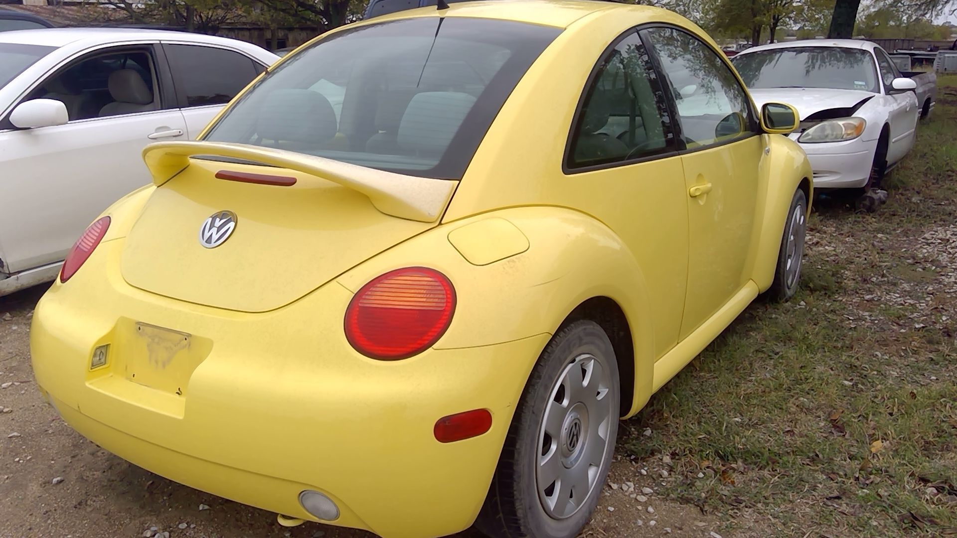 Volkswagen Beetle Back Glass | Used Car Parts