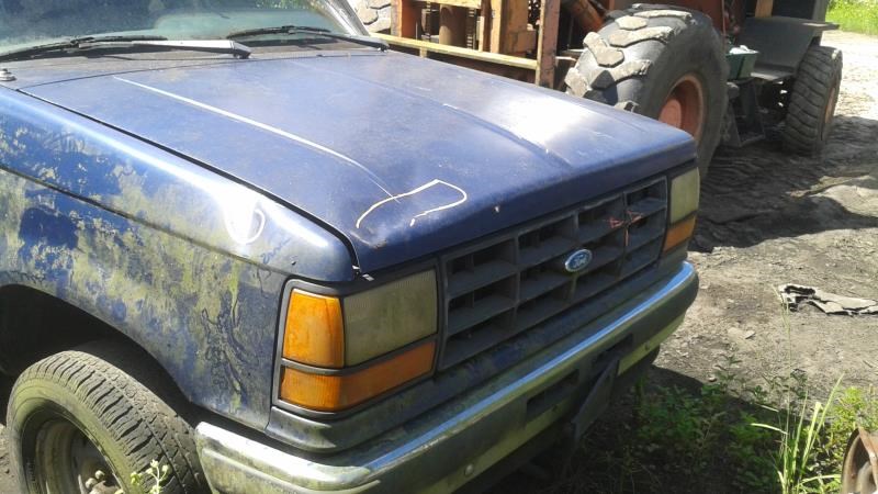 Ford Bronco II Decklid Tailgate | Used SUV Parts